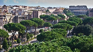 <em>东京</em><em>国际</em><em>大学</em>是不是<em>东京</em><em>大学</em>